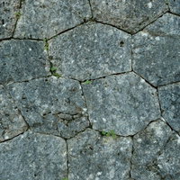 苔の生えた石垣のテクスチャーの写真