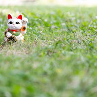 草原に置かれた招き猫、白い招き猫が右前足を上げた開運の置物の写真