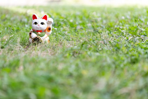 草原に置かれた招き猫、白い招き猫が右前足を上げた開運の置物