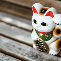 木製ベンチに座った白い招き猫の置物、金運アップと商売繁盛の縁起物の写真