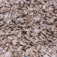 地面を覆う一面の落葉と枯葉が積み重なった秋の風景の写真