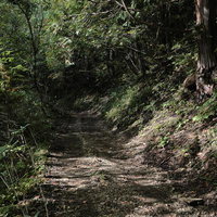 緑に覆われた馬車道の登山道（安達太良山）の写真