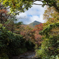 紅葉のトンネル、安達太良山の馬車道から見える山並みの写真