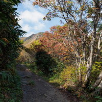 安達太良山・馬車道の紅葉が彩る秋の登山道の写真