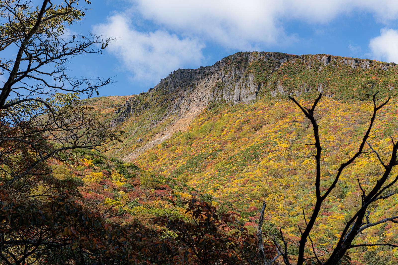紅葉で彩られた秋の馬車道登山道。岩肌と黄色くなった樹木が斜面を覆っている