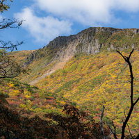 紅葉が彩る秋の馬車道登山道の風景の写真