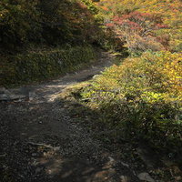 秋色に包まれる安達太良山と馬車道の登山道の写真