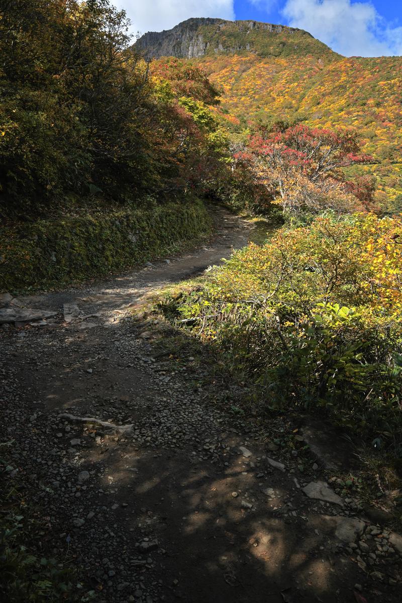 秋の紅葉に囲まれた安達太良山の馬車道登山道を進む林間の砂利道