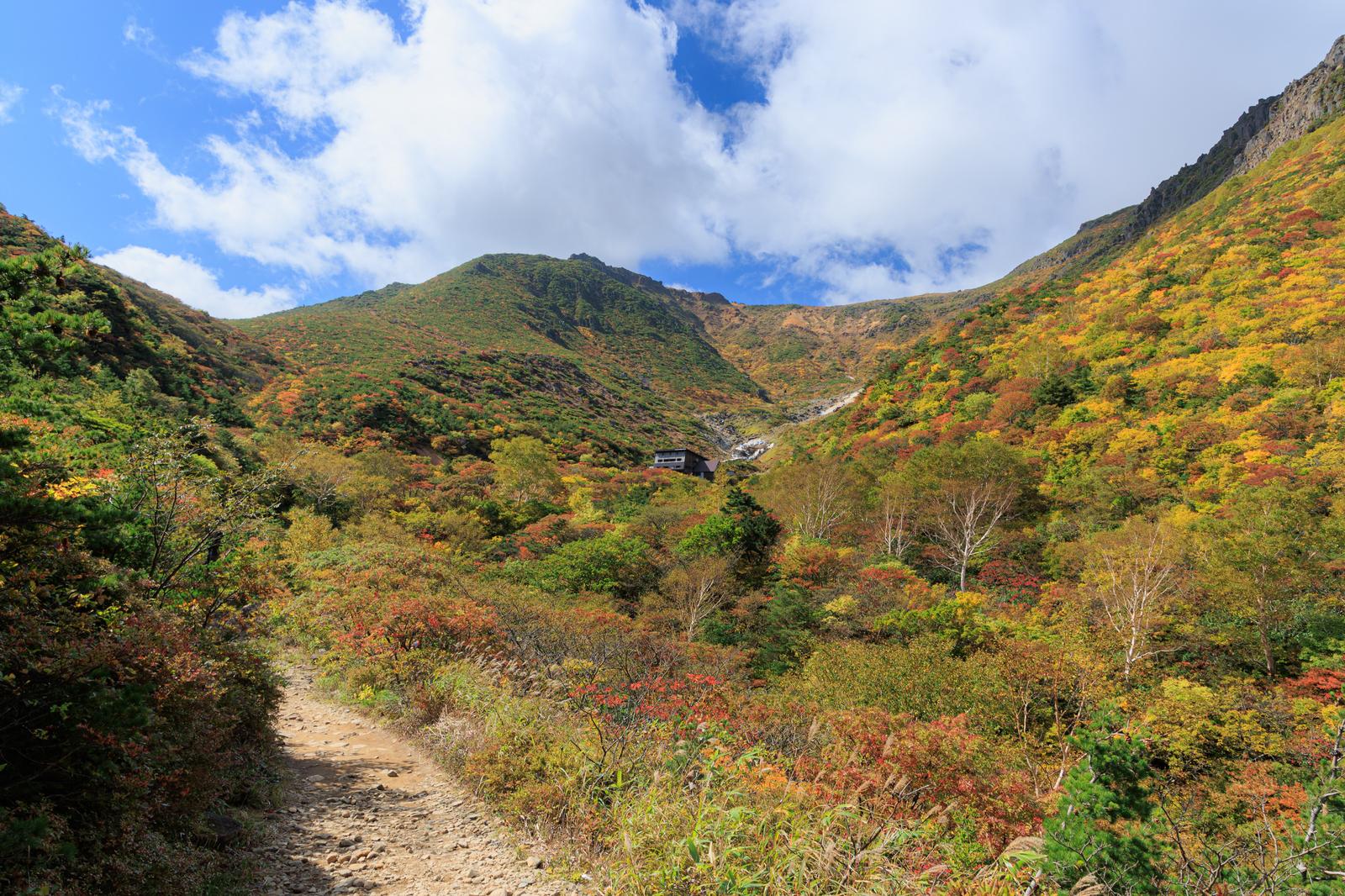安達太良山の登山道沿いで紅葉に染まる山肌とくろがね小屋
