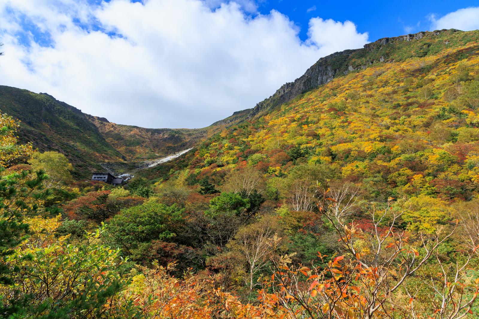 秋の安達太良山で鉄山方面を見た、くろがね小屋周辺の紅葉の風景