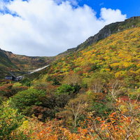 秋に輝く安達太良山と鉄山、くろがね小屋周辺の紅葉の写真