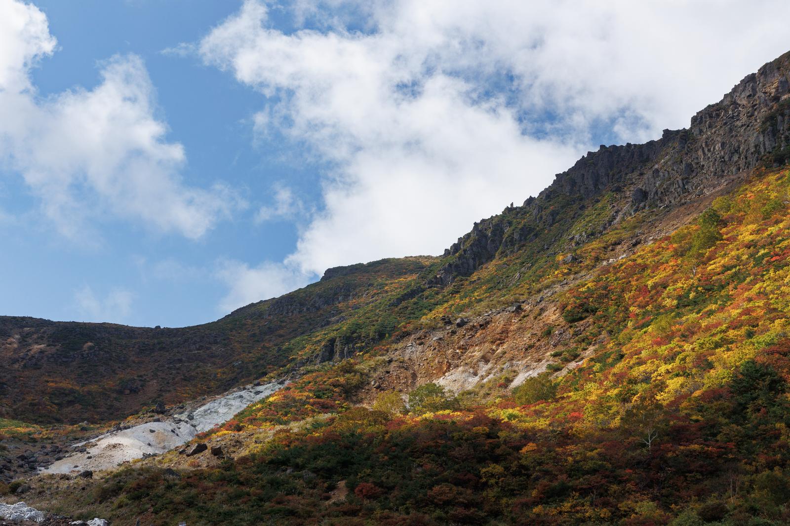 黄色や赤に色づいた低木に覆われた安達太良山の秋の斜面。奥には白い渓流が流れている