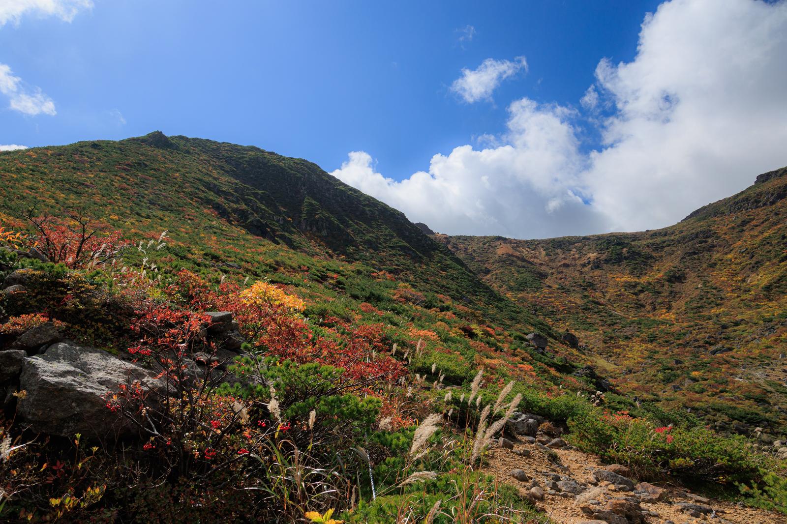赤や黄色に染まった低木が茂る秋の山道、安達太良山峰の辻の登山コース