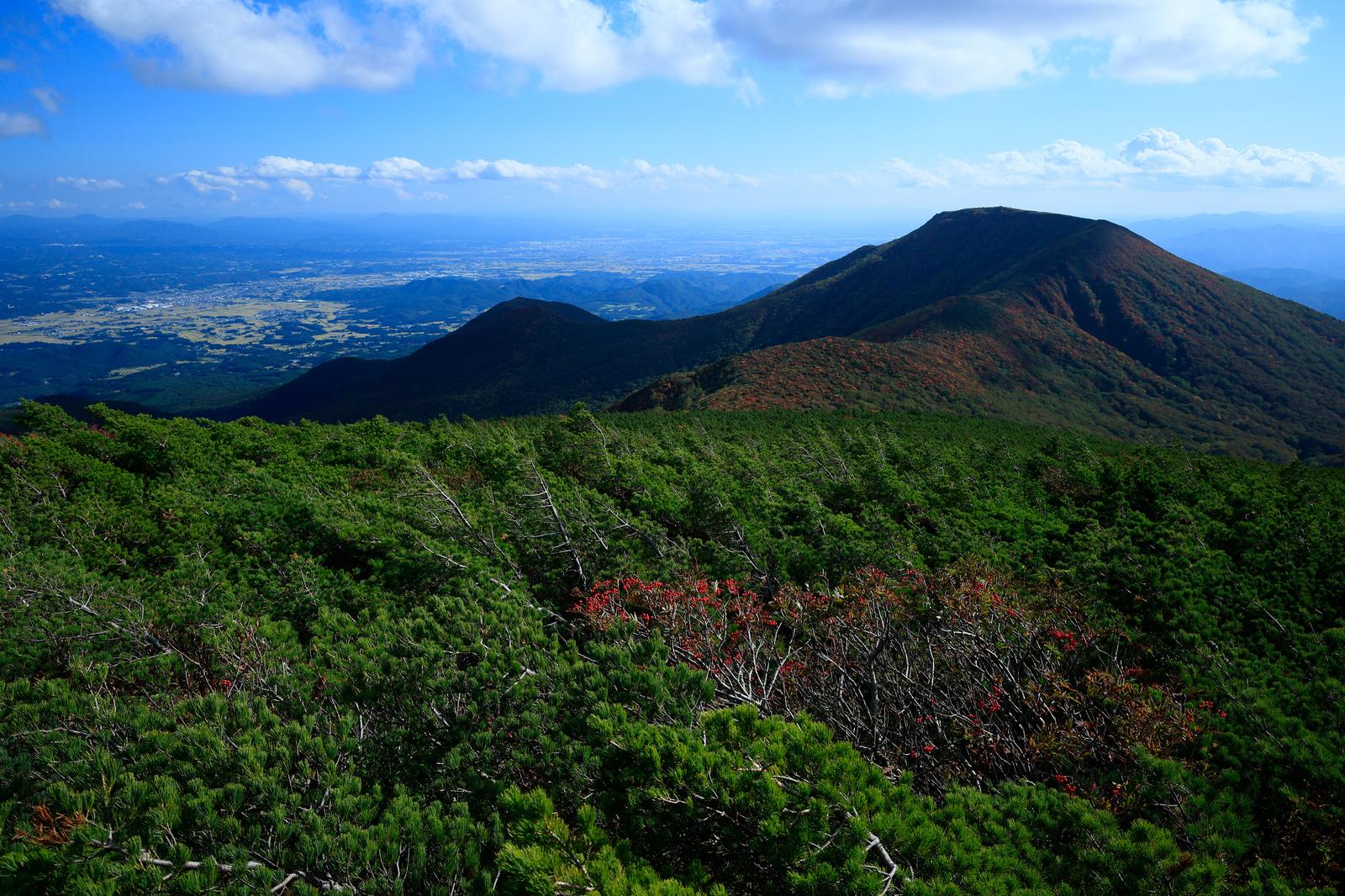 秋のパノラマ景観。安達太良山からの眺めで、手前は秋色の灌木、中景は黒いシルエットの和尚山、奥は広い盆地と青空