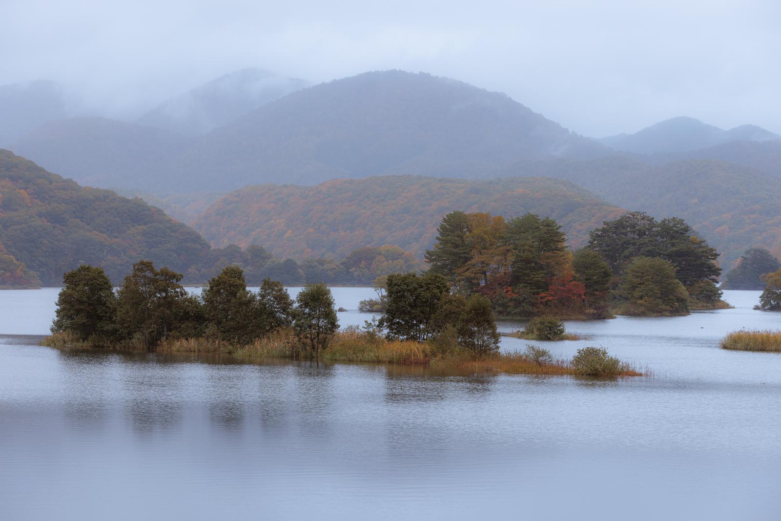 朝霧がかかった秋元湖の湖面に浮かぶ樹木と紅葉の山並み