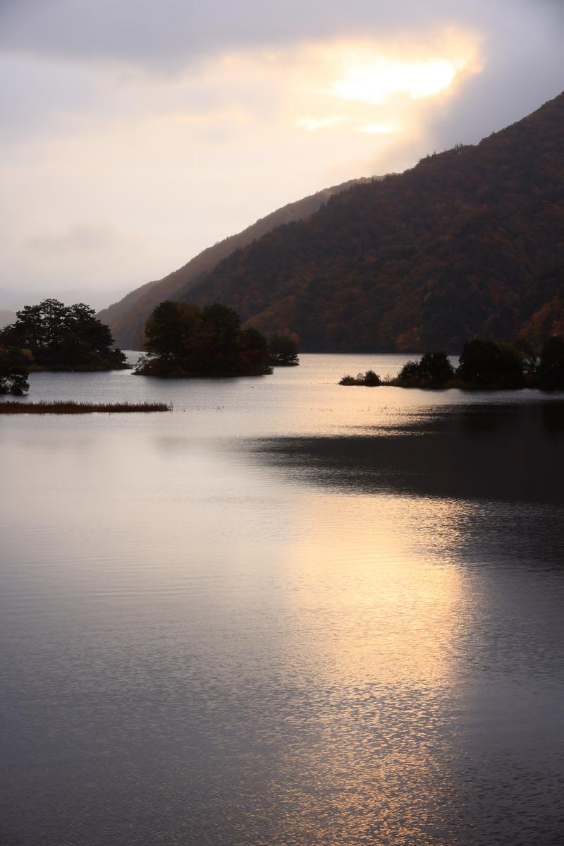 秋元湖の湖面に朝焼けが映り、山の樹木と静かな水面が見える朝の風景