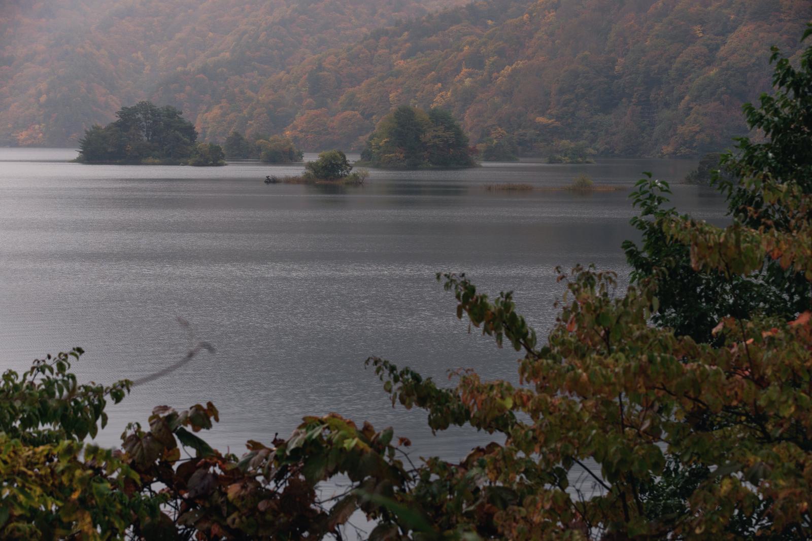 秋元湖の湖面に映る紅葉した山と手前の秋の雑木