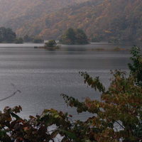 秋元湖の薄明で照らされる紅葉と静かな湖面、手前の雑木の写真