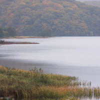 湖畔の静寂に映える遠くの紅葉、秋元湖の秋景色の写真