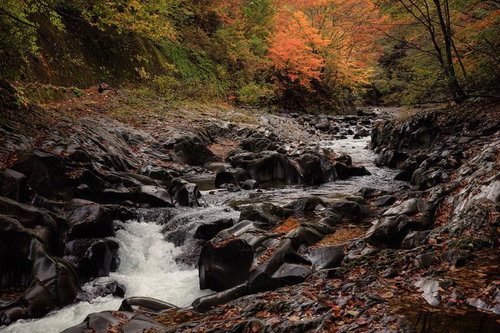 秋の中津川渓谷、紅葉と清流が織りなす渓谷風景