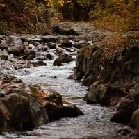 紅葉に包まれた中津川渓谷の秋色の流れ、猪苗代町の清流風景の写真