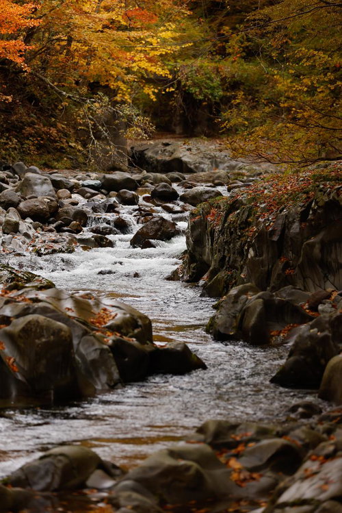紅葉に包まれた中津川渓谷の秋色の流れ、猪苗代町の清流風景