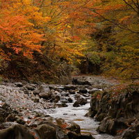 中津川渓谷の清流と秋紅葉～猪苗代町の自然景観の写真