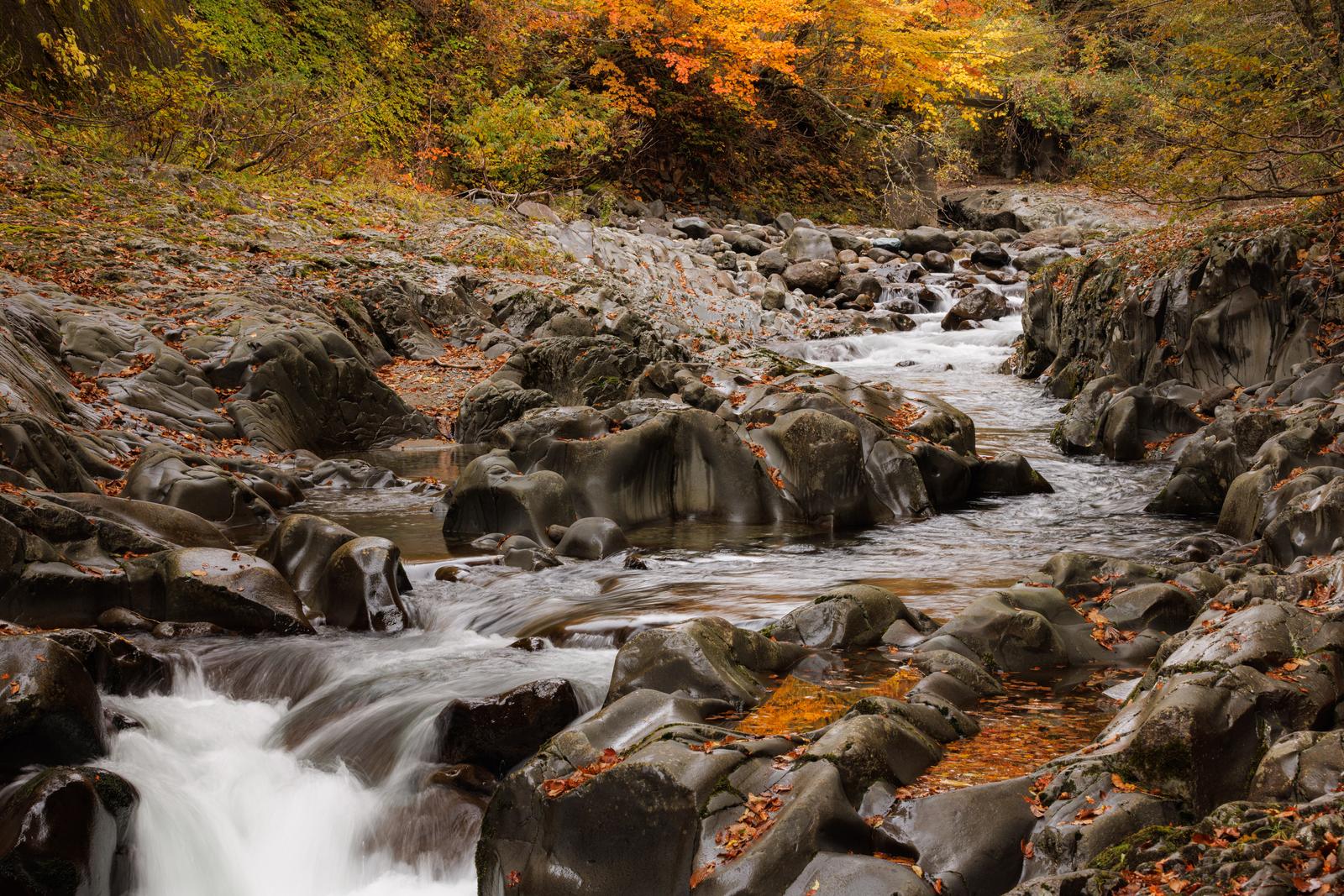 秋の渓谷を流れる清流と色づいた紅葉の風景