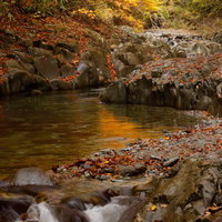 紅葉に包まれた秋の中津川渓谷の岩場と流れの写真