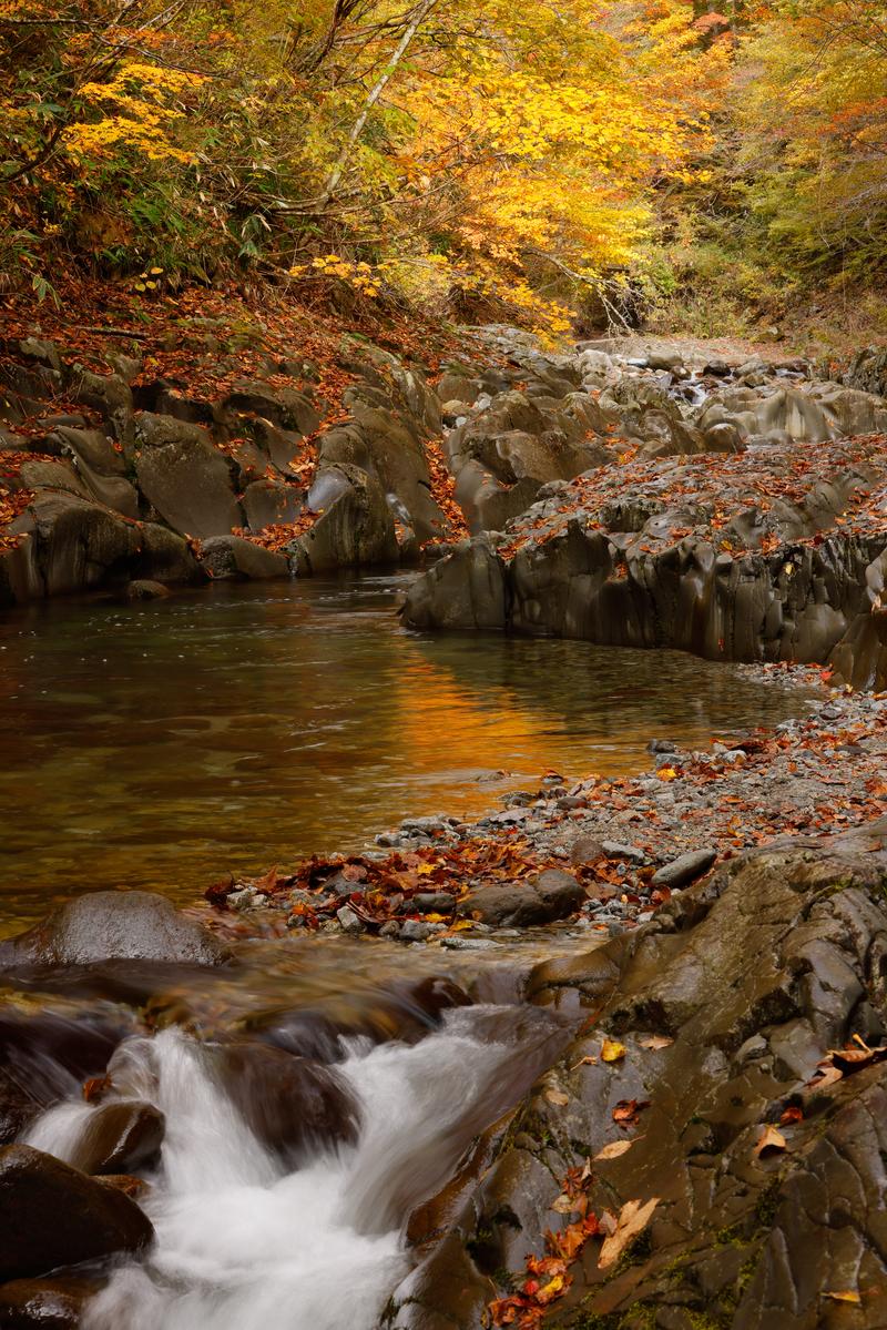 秋の紅葉に囲まれた中津川渓谷の流れと岩場