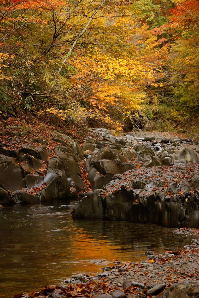 中津川渓谷で紅葉に彩られた岩と流れる水の秋景色