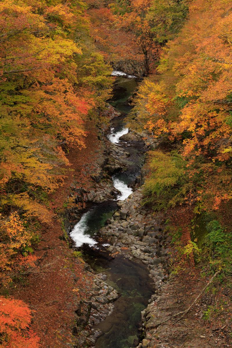 中津川渓谷の紅葉に囲まれた清流が蛇行する風景