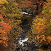 俯瞰視点で見る中津川渓谷の秋の紅葉と渓流の流れの写真