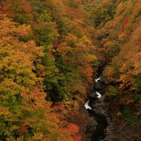 上空からの中津川渓谷の紅葉パノラマ、猪苗代町の秋景色の写真