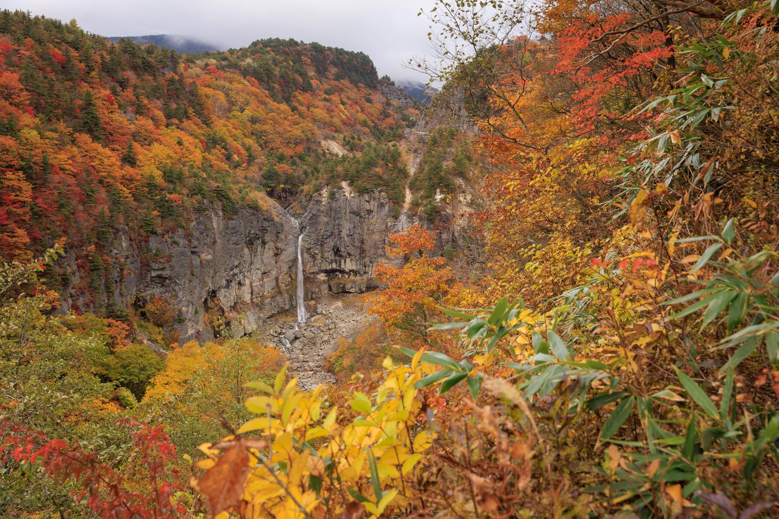 秋の渓谷で断壁から流れる白糸の滝を紅葉に囲まれて撮影した風景