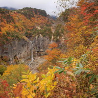 秋の断壁に流れ落ちる白糸の滝、紅葉に包まれた渓谷の写真