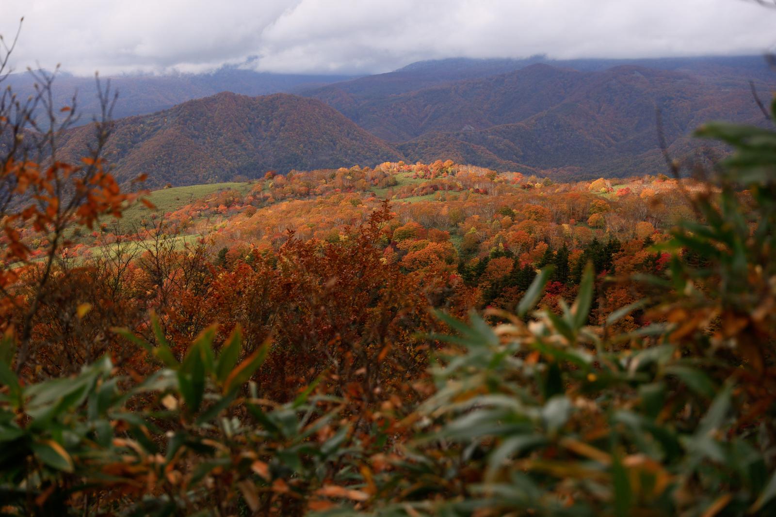 安達太良山の稜線から望む秋の紅葉に包まれた沼尻ルート周辺の山並み