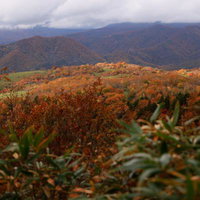 安達太良山の稜線から望む沼尻ルートの紅葉と秋の絶景の写真