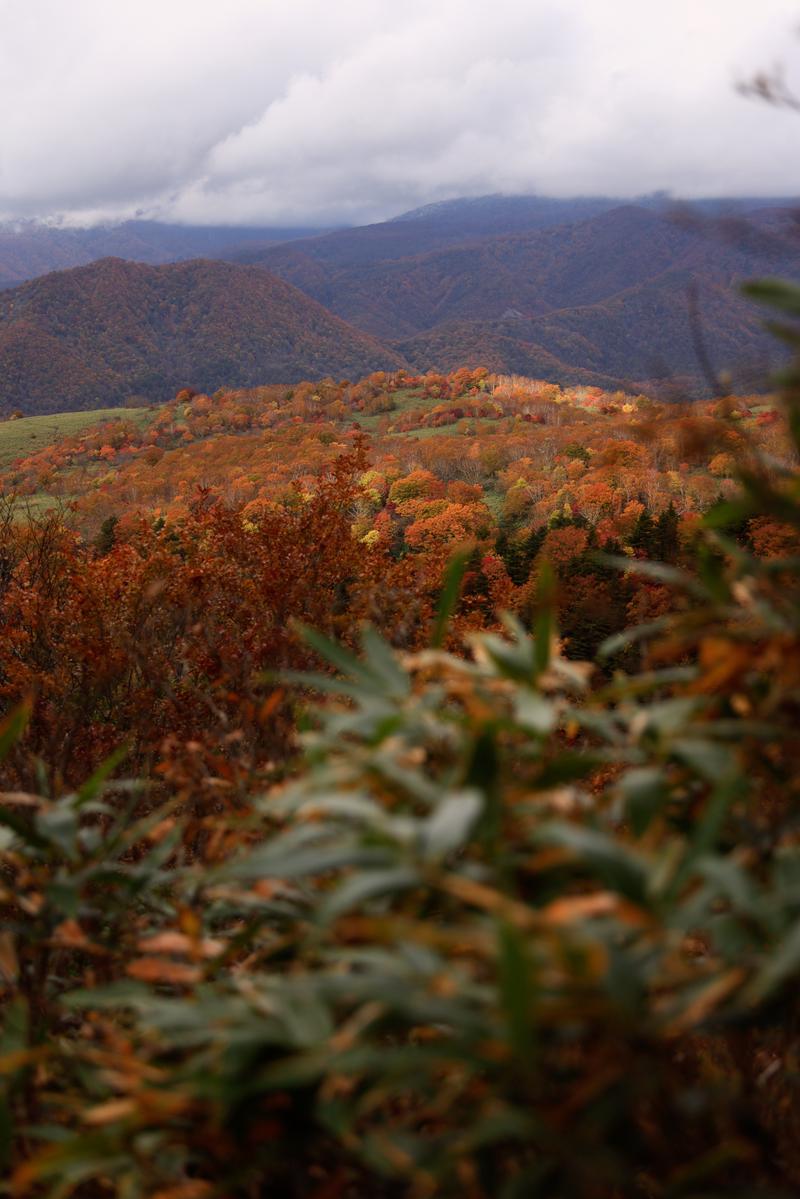 安達太良山の紅葉した山々の稜線風景。赤褐色と橙黄色に彩られた秋の山容が広がる。