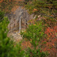 沼尻ルートから見る白糸の滝と紅葉に包まれた渓谷の秋景色の写真