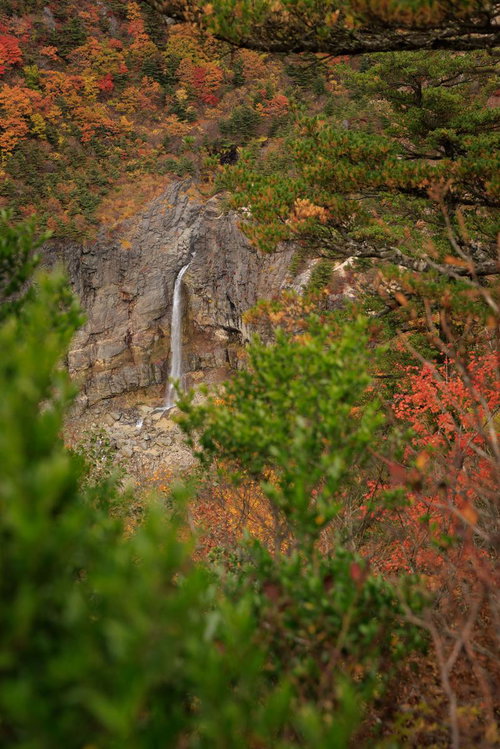 沼尻ルートから見る白糸の滝と紅葉に包まれた渓谷の秋景色