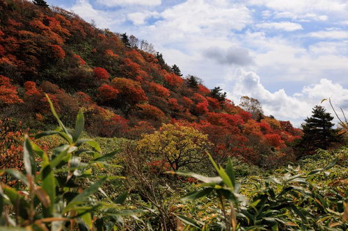 紅葉が彩る沼尻ルート稜線の秋