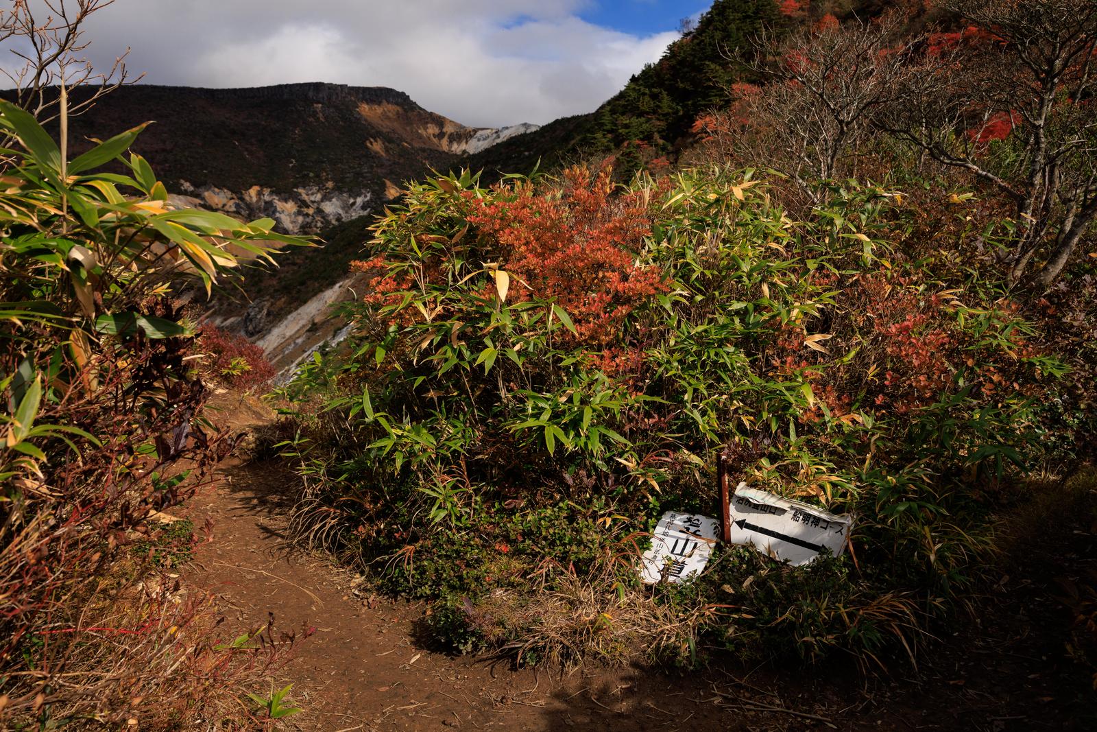 安達太良山沼尻ルートの湯畑付近で、紅葉した低木が広がる登山道