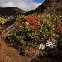 沼尻ルートの湯畑周辺を通る紅葉の登山道、安達太良山の秋景色の写真