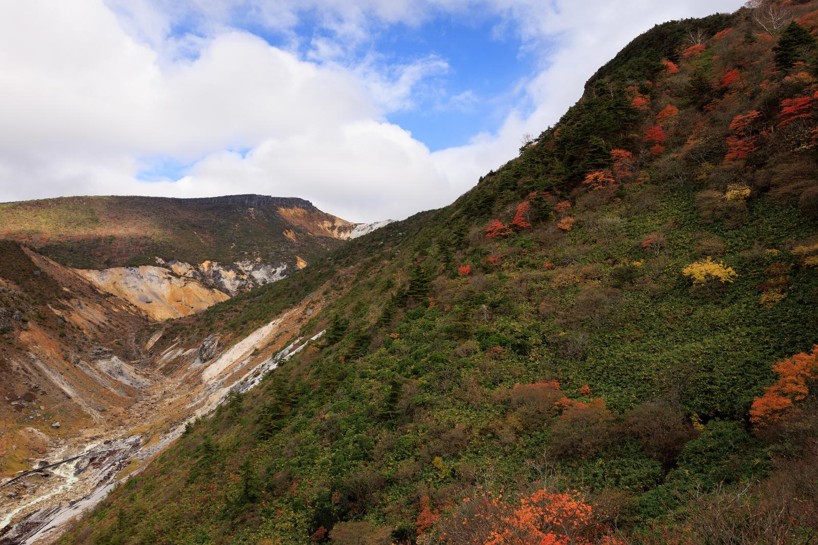 猪苗代町の湯畑周辺で見られる渓谷沿いの秋の紅葉風景