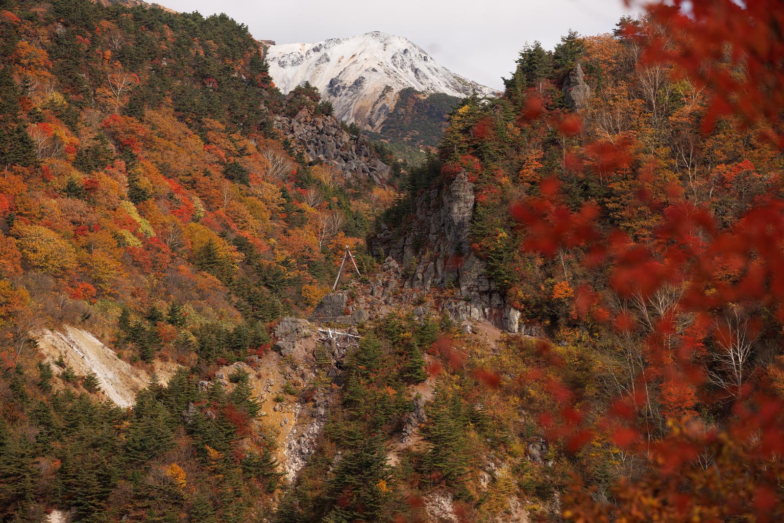 Autumn scenery with colorful foliage and the snow-capped Mount Adatara in the background around the Yubatake area
