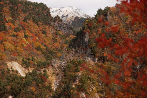 沼尻ルートの紅葉が彩る湯畑周辺