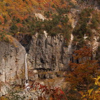 断壁に宿る紅葉と秋の白糸の滝～安達太良山麓の渓谷美の写真