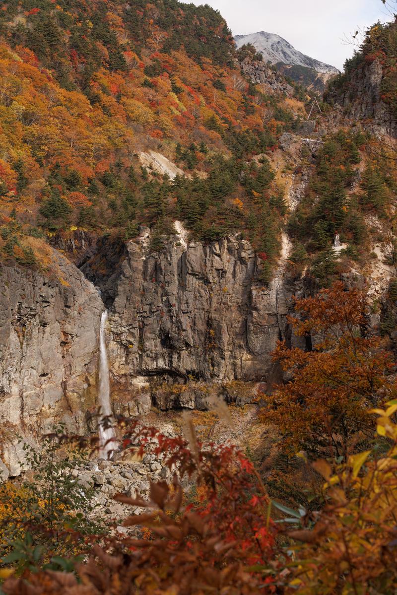 秋の白糸の滝。紅葉した樹木に囲まれた断壁から水が細く流れ落ちる