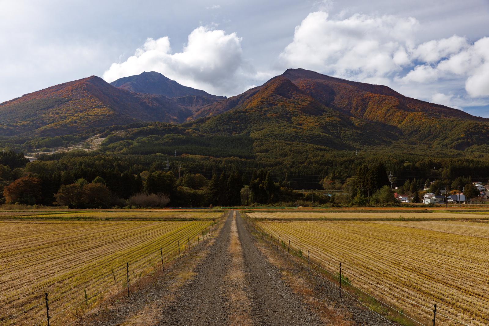磐梯山を望む収穫後の田んぼの中を走る一本道
